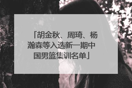 胡金秋、周琦、杨瀚森等入选新一期中国男篮集训名单