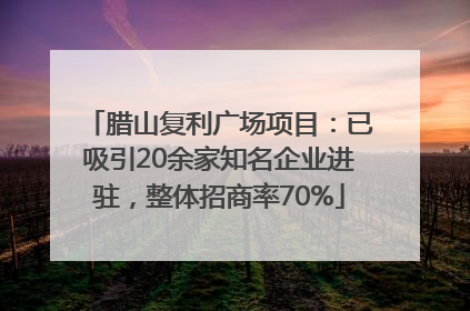腊山复利广场项目：已吸引20余家知名企业进驻，整体招商率70%