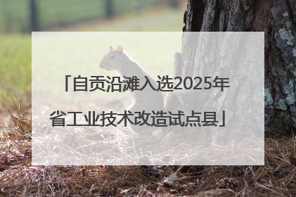 自贡沿滩入选2025年省工业技术改造试点县