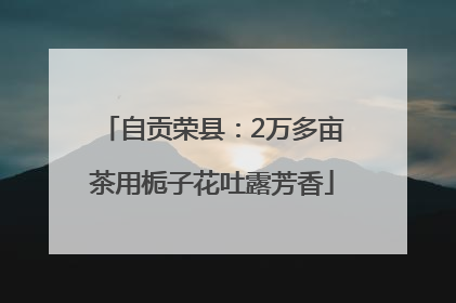 自贡荣县：2万多亩茶用栀子花吐露芳香