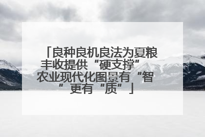 良种良机良法为夏粮丰收提供“硬支撑” 农业现代化图景有“智”更有“质”