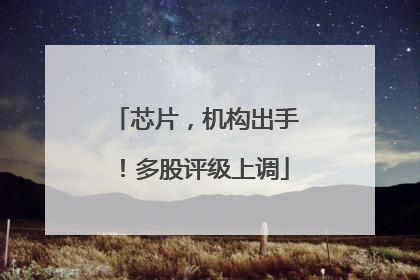 芯片，机构出手！多股评级上调