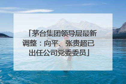 茅台集团领导层最新调整：向平、张贵超已出任公司党委委员