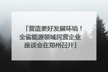 营造更好发展环境！全省能源领域民营企业座谈会在郑州召开