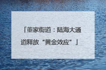 董家街道：陆海大通道释放“黄金效应”