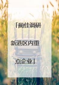 蔺佳调研新港区内重点企业