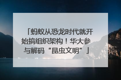 蚂蚁从恐龙时代就开始搞组织架构！华大参与解码“昆虫文明”