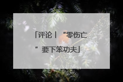 评论丨“零伤亡”要下笨功夫