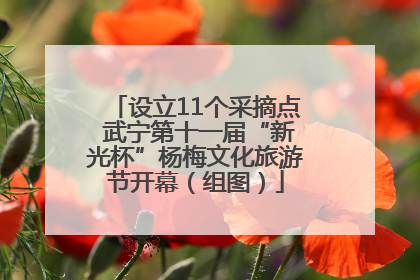 设立11个采摘点 武宁第十一届“新光杯”杨梅文化旅游节开幕（组图）