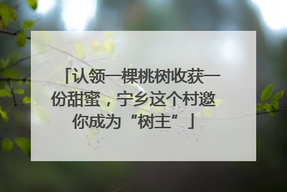 认领一棵桃树收获一份甜蜜，宁乡这个村邀你成为“树主”