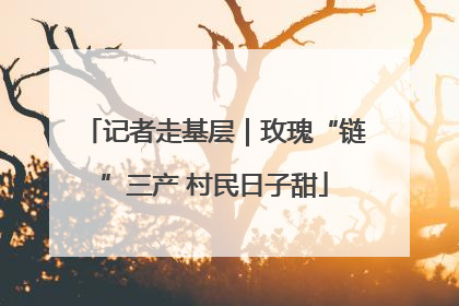 记者走基层｜玫瑰“链”三产 村民日子甜