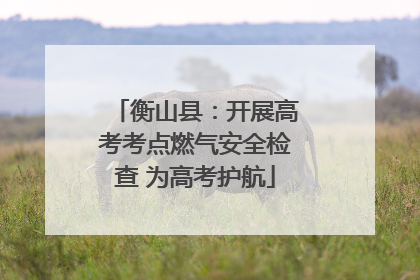 衡山县：开展高考考点燃气安全检查 为高考护航