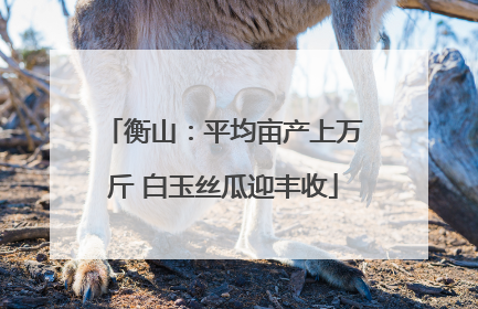 衡山：平均亩产上万斤 白玉丝瓜迎丰收
