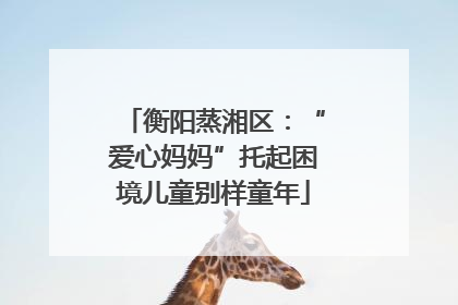 衡阳蒸湘区：“爱心妈妈”托起困境儿童别样童年