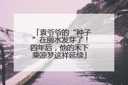 袁爷爷的“种子”在丽水发芽了！四年后，他的禾下乘凉梦这样延续