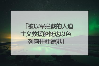 被以军拦截的人道主义救援船抵达以色列阿什杜德港