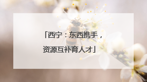 西宁：东西携手，资源互补育人才