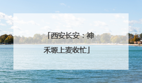 西安长安：神禾塬上麦收忙