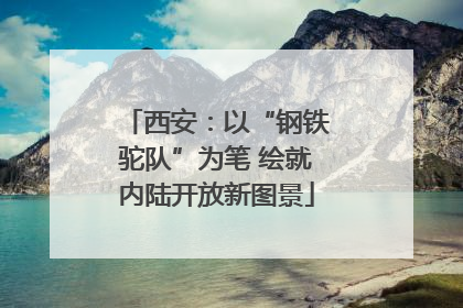 西安：以“钢铁驼队”为笔 绘就内陆开放新图景