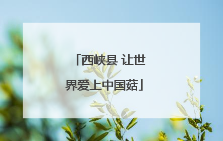 西峡县 让世界爱上中国菇