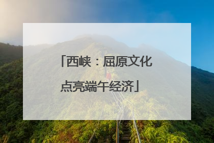 西峡：屈原文化点亮端午经济