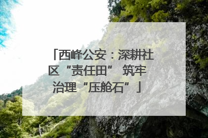 西峰公安：深耕社区“责任田” 筑牢治理“压舱石”