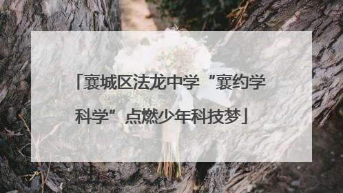 襄城区法龙中学“襄约学科学”点燃少年科技梦
