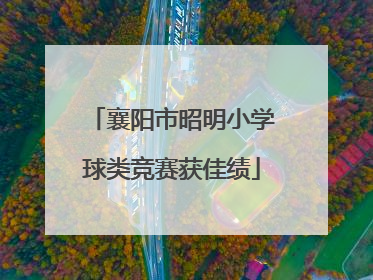 襄阳市昭明小学球类竞赛获佳绩