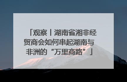 观察丨湖南省湘非经贸商会如何串起湖南与非洲的“万里商路”