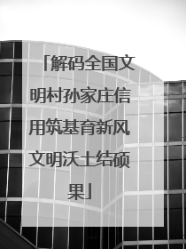 解码全国文明村孙家庄信用筑基育新风文明沃土结硕果