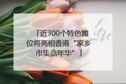 近300个特色摊位将亮相香港“家乡市集嘉年华”