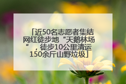 近50名志愿者集结网红徒步地“天鹅林场”，徒步10公里清运150余斤山野垃圾