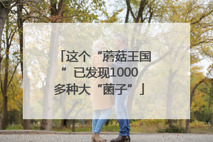 这个“蘑菇王国”已发现1000多种大“菌子”