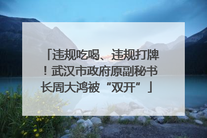 违规吃喝、违规打牌！武汉市政府原副秘书长周大鸿被“双开”