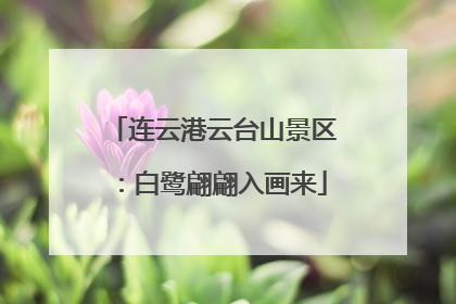 连云港云台山景区：白鹭翩翩入画来