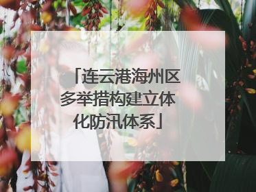 连云港海州区多举措构建立体化防汛体系