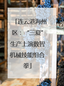 连云港海州区：“三夏”生产上演数智机械技能组合拳
