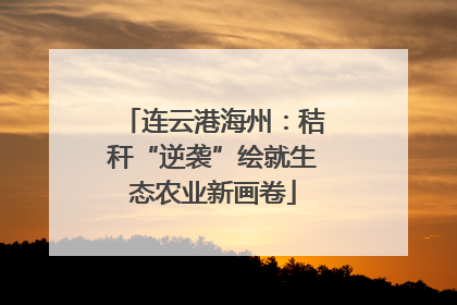连云港海州：秸秆“逆袭”绘就生态农业新画卷
