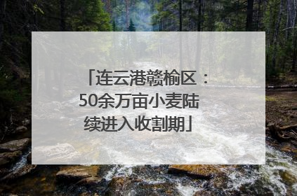 连云港赣榆区：50余万亩小麦陆续进入收割期