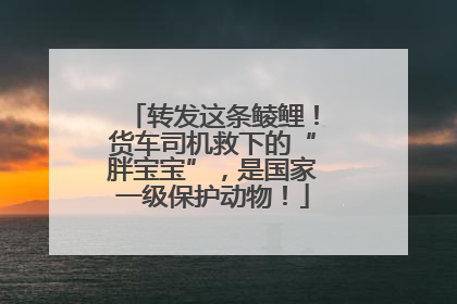 转发这条鲮鲤！货车司机救下的“胖宝宝”，是国家一级保护动物！