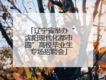 辽宁省举办“沈阳现代化都市圈”高校毕业生专场招聘会