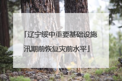 辽宁绥中重要基础设施汛期前恢复灾前水平