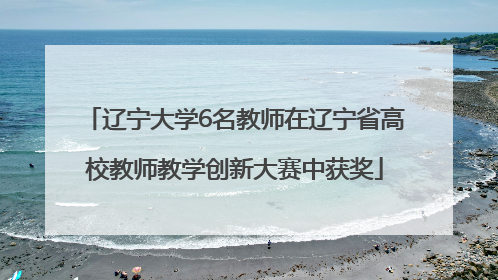 辽宁大学6名教师在辽宁省高校教师教学创新大赛中获奖