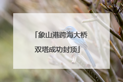 象山港跨海大桥双塔成功封顶
