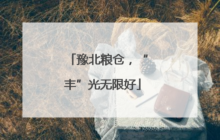 豫北粮仓，“丰”光无限好