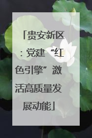 贵安新区：党建“红色引擎”激活高质量发展动能