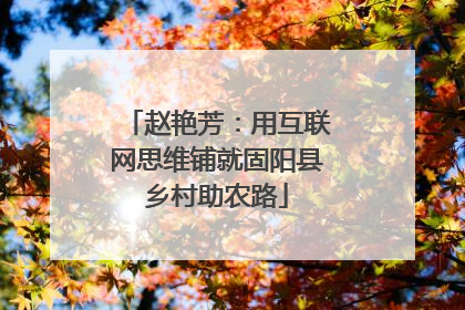赵艳芳：用互联网思维铺就固阳县乡村助农路