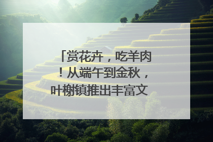 赏花卉，吃羊肉！从端午到金秋，叶榭镇推出丰富文旅活动邀您爽玩
