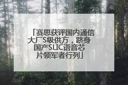 赛思获评国内通信大厂S级供方，跻身国产SLIC语音芯片领军者行列