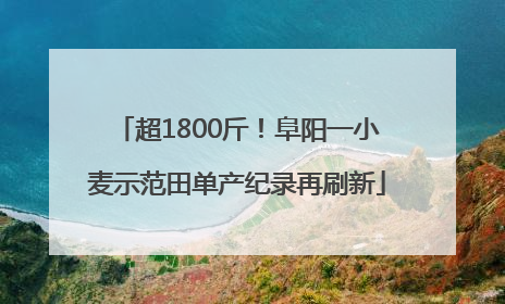 超1800斤！阜阳一小麦示范田单产纪录再刷新